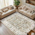 jinchan Fiora 6x9 Area Rugs for Living Room by JINCHAN