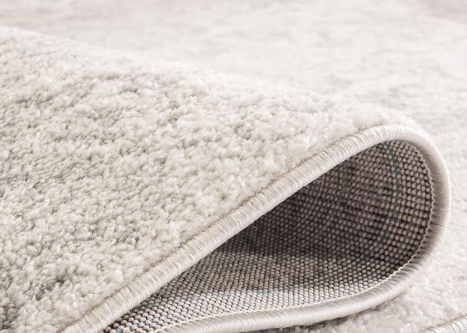 SAFAVIEH Adirondack Collection Accent Rug - Image 3