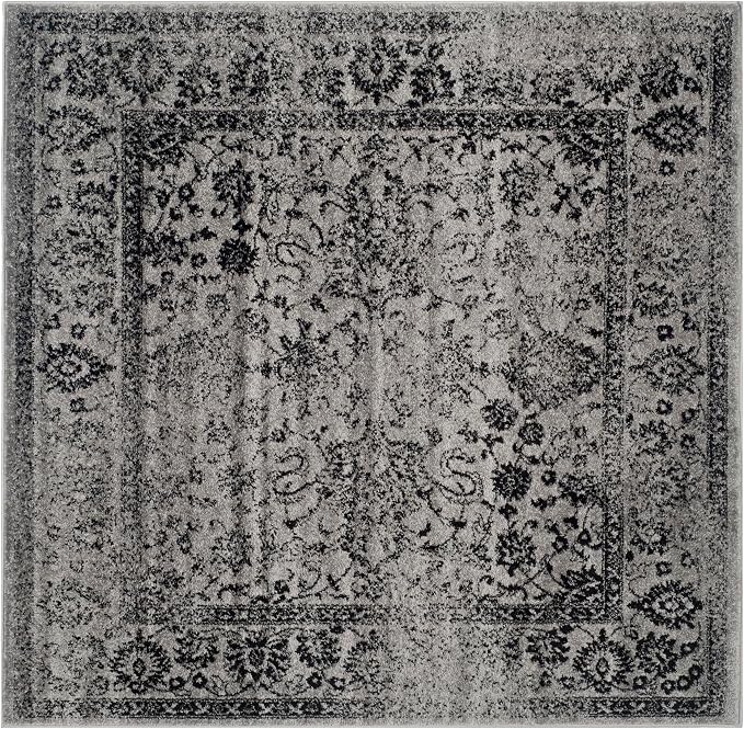 SAFAVIEH Adirondack Collection Area Rug - Image 2