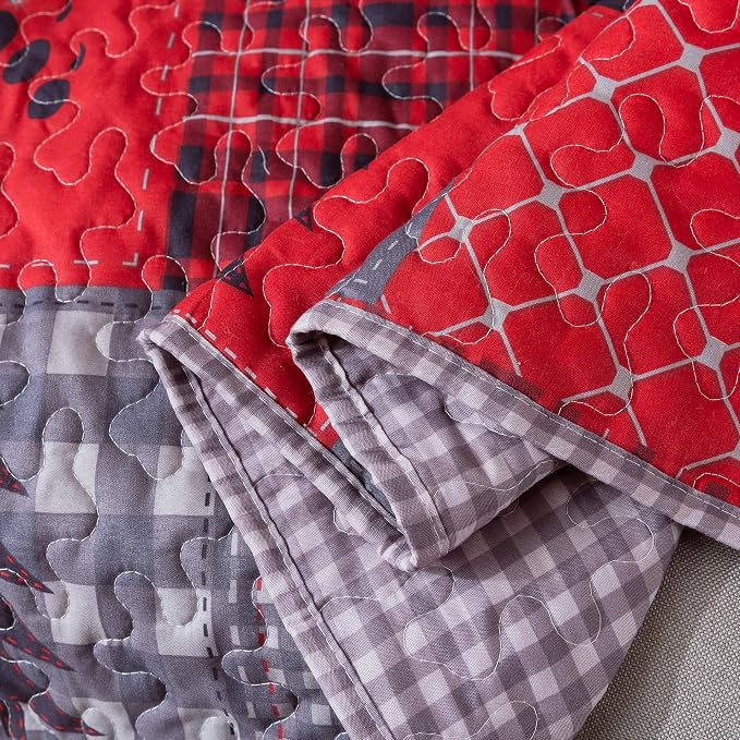 Soul & Lane Cabin Charm 50"x60" Quilted Throw: Plaid Quilted Blanket, Outdoor - Image 4