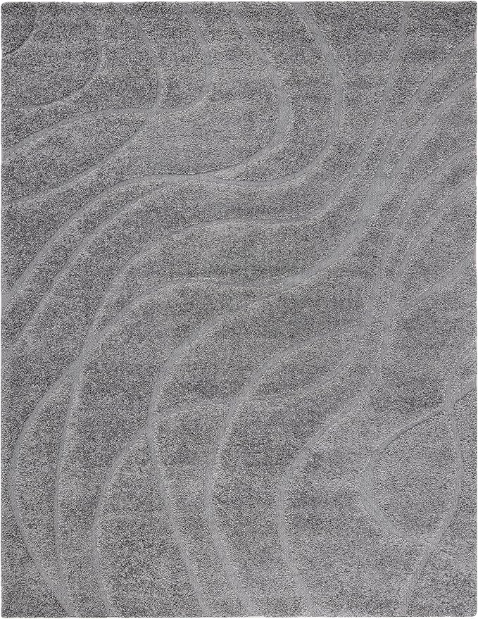 SAFAVIEH Florida Shag Collection X-Large Area Rug by SAFAVIEH