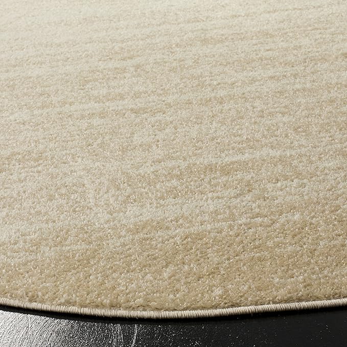 SAFAVIEH Adirondack Collection Area Rug - Image 4