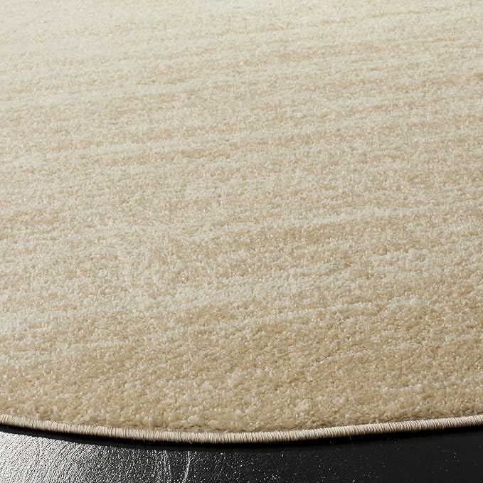 SAFAVIEH Adirondack Collection Area Rug - Image 4