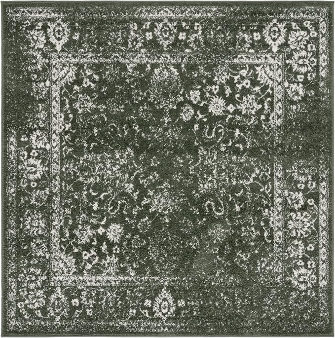 SAFAVIEH Adirondack Collection Area Rug by SAFAVIEH