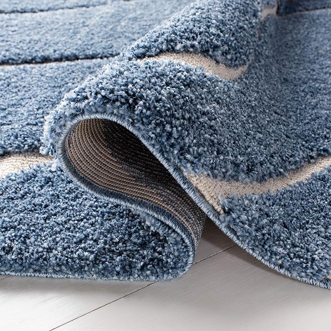 SAFAVIEH Florida Shag Collection Accent Rug - Image 5