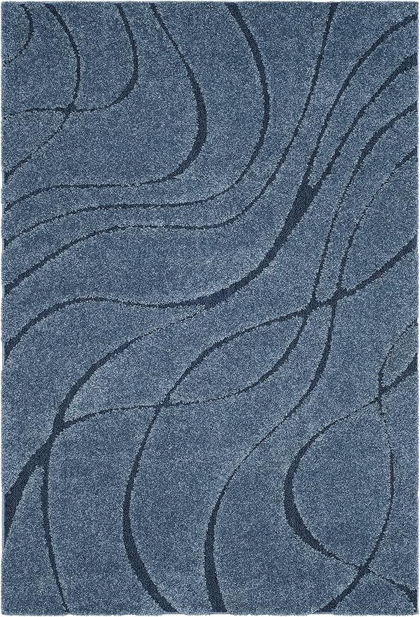 SAFAVIEH Florida Shag Collection Area Rug by SAFAVIEH
