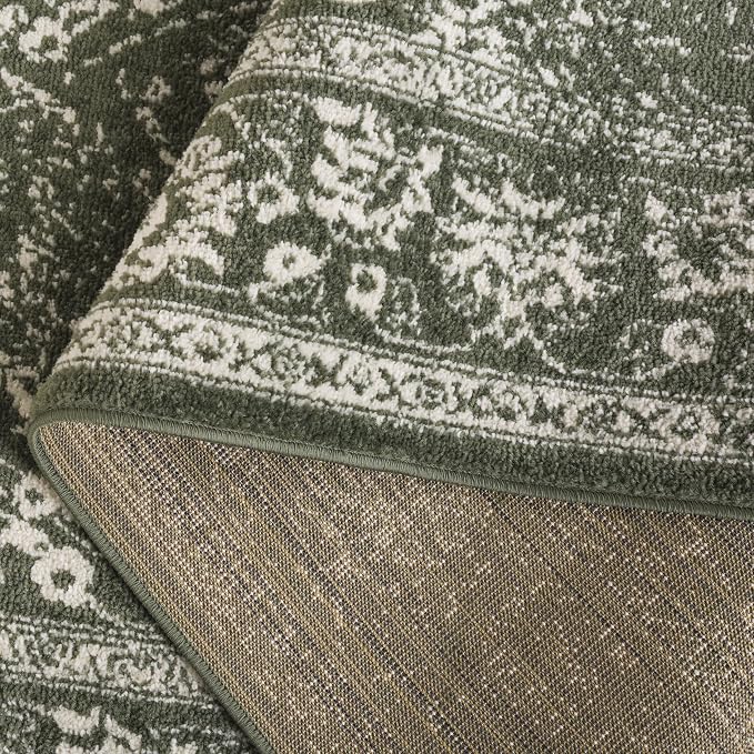 SAFAVIEH Adirondack Collection Area Rug - Image 4