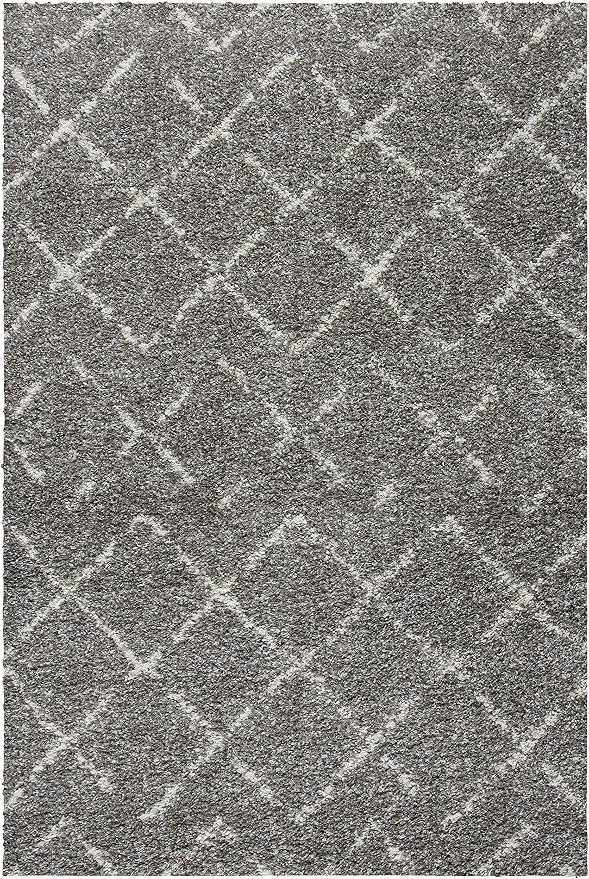 SAFAVIEH Area Rug 4x6 - Image 2